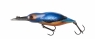 DAM EFFZETT EISVOGEL 11  European Kingfisher