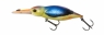 DAM EFFZETT EISVOGEL 11  Asian Kingfisher